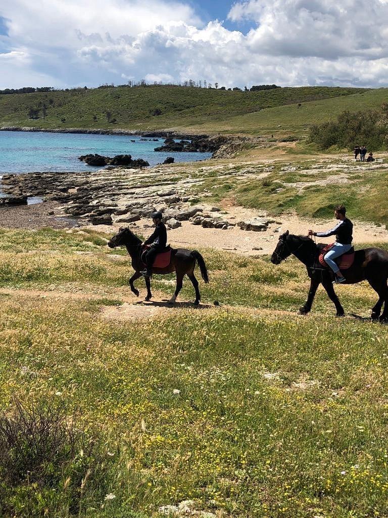 🐎 투마라 승마 클럽 (치르콜로 이피코 투마라)