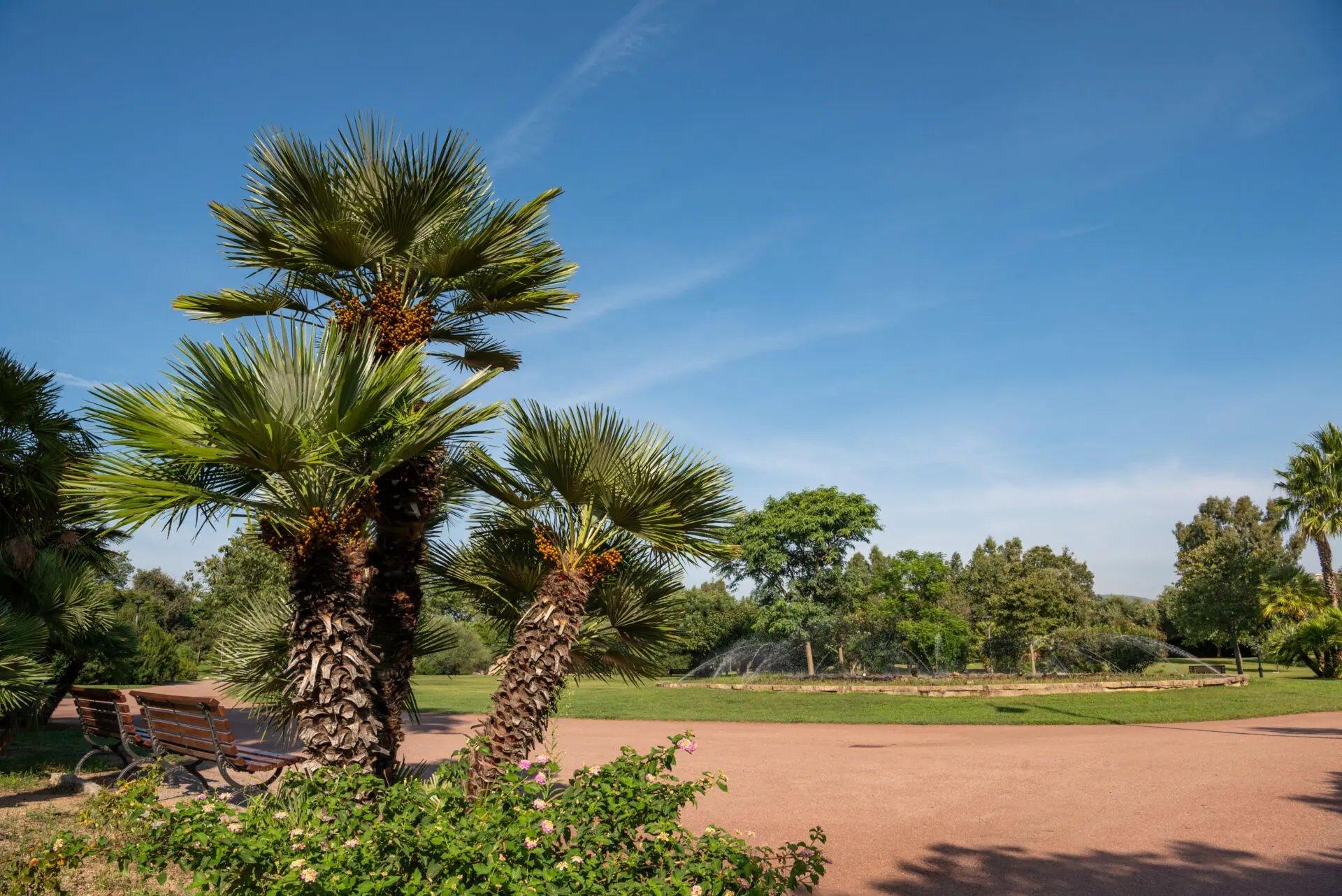 🌳 파우스토 노체 공원 (파르코 파우스토 노체)