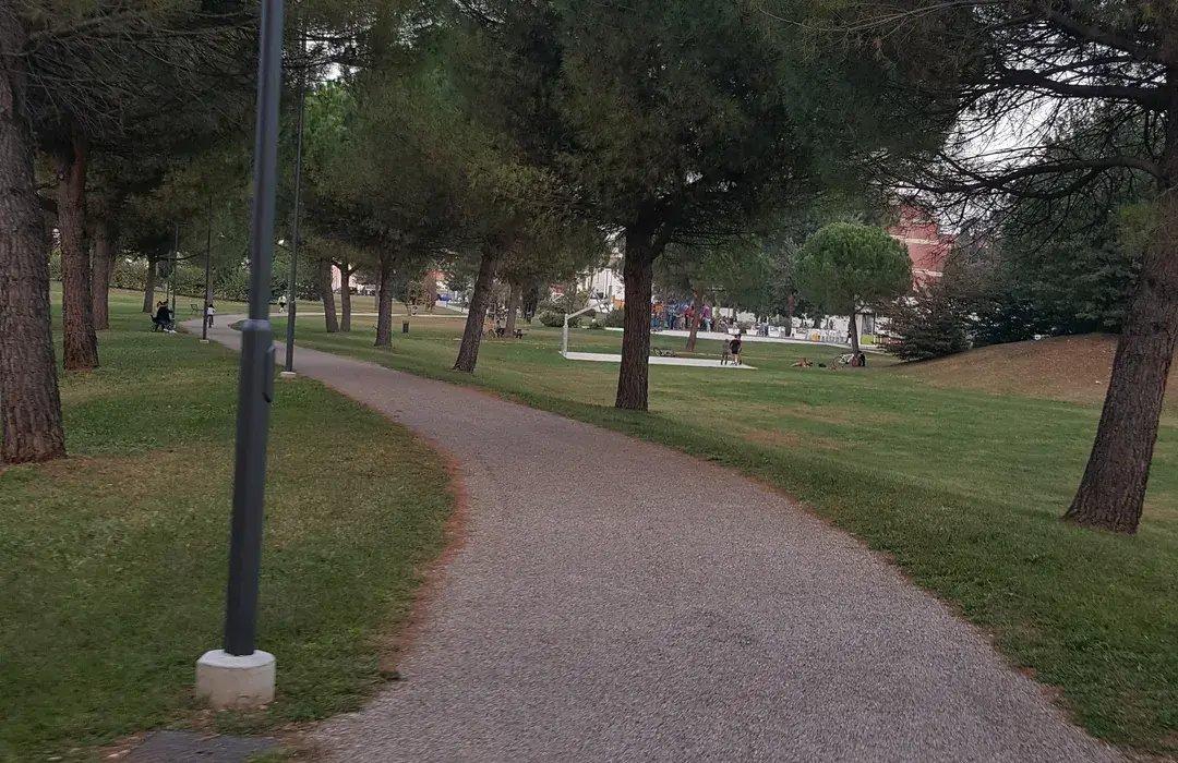 늦은 오후 햇살 아래 녹지