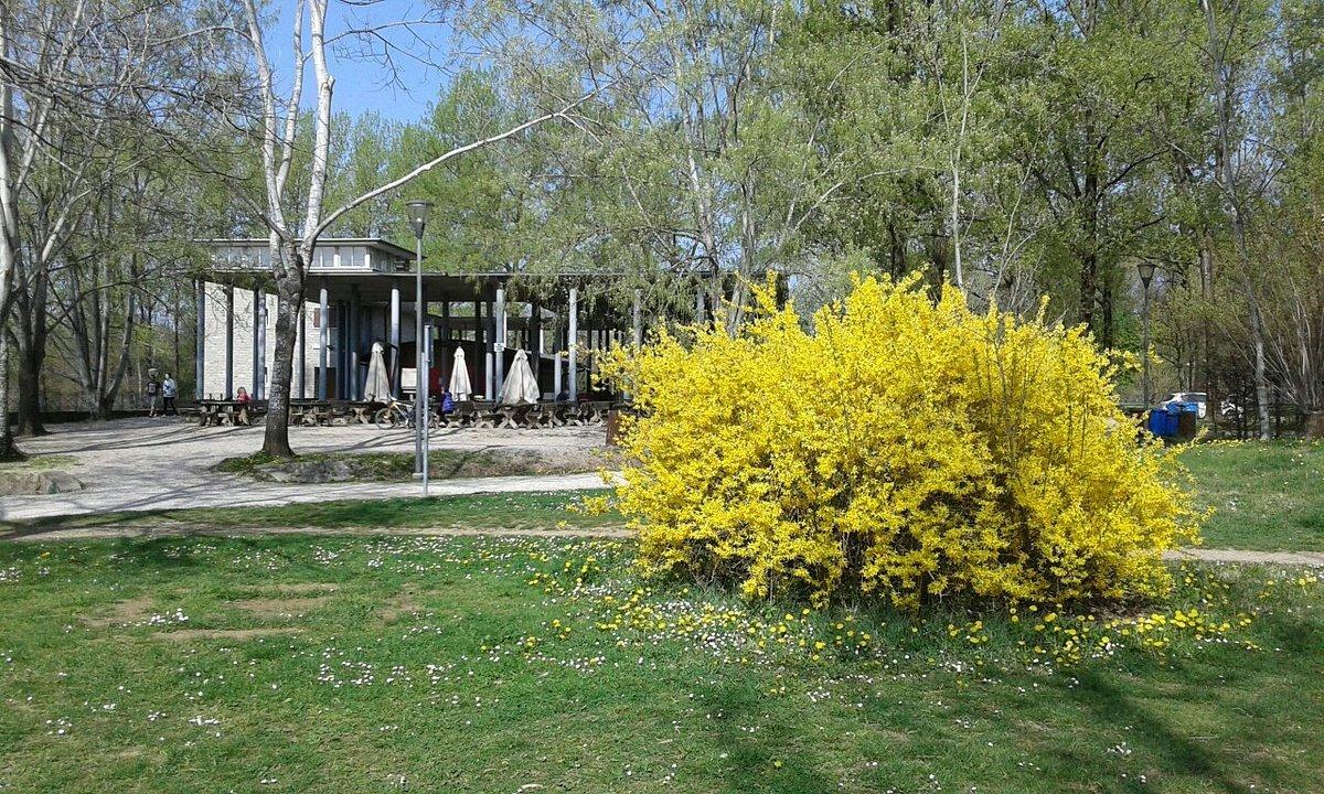 🌳 코르모르 공원 (파르코 델 코르모르)