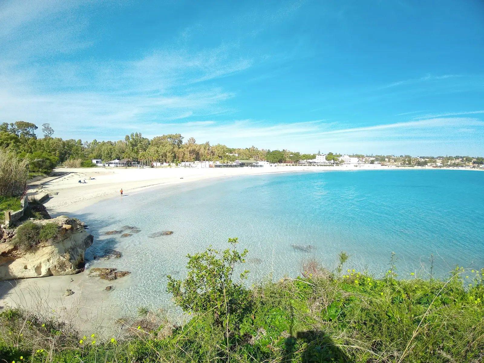 🏖️ 리도 사요나라 (Lido Sayonara)