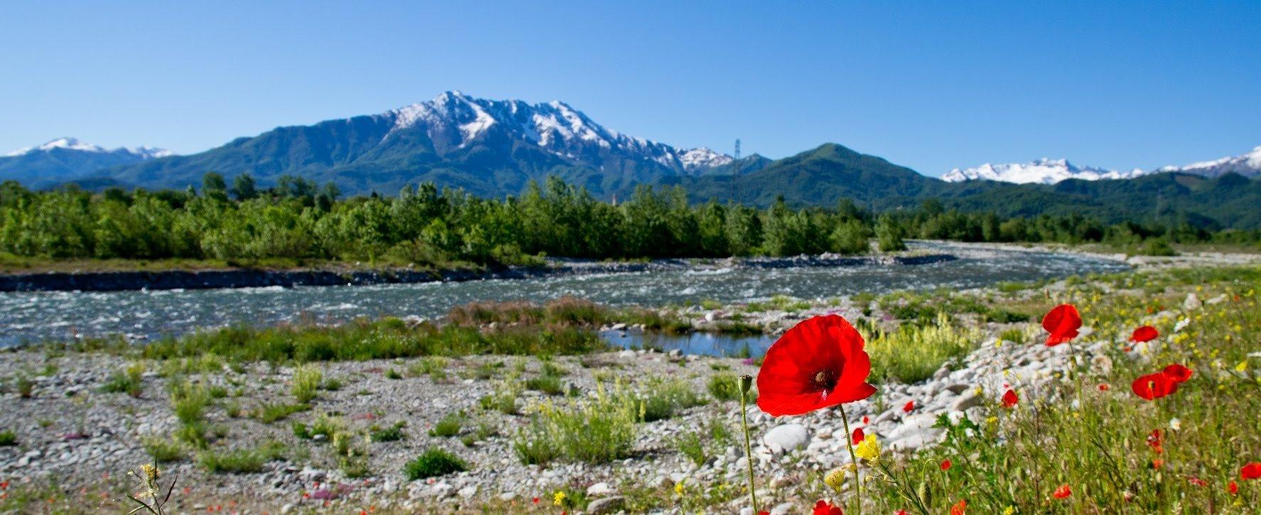 산 배경의 탁 트인 전망 지점