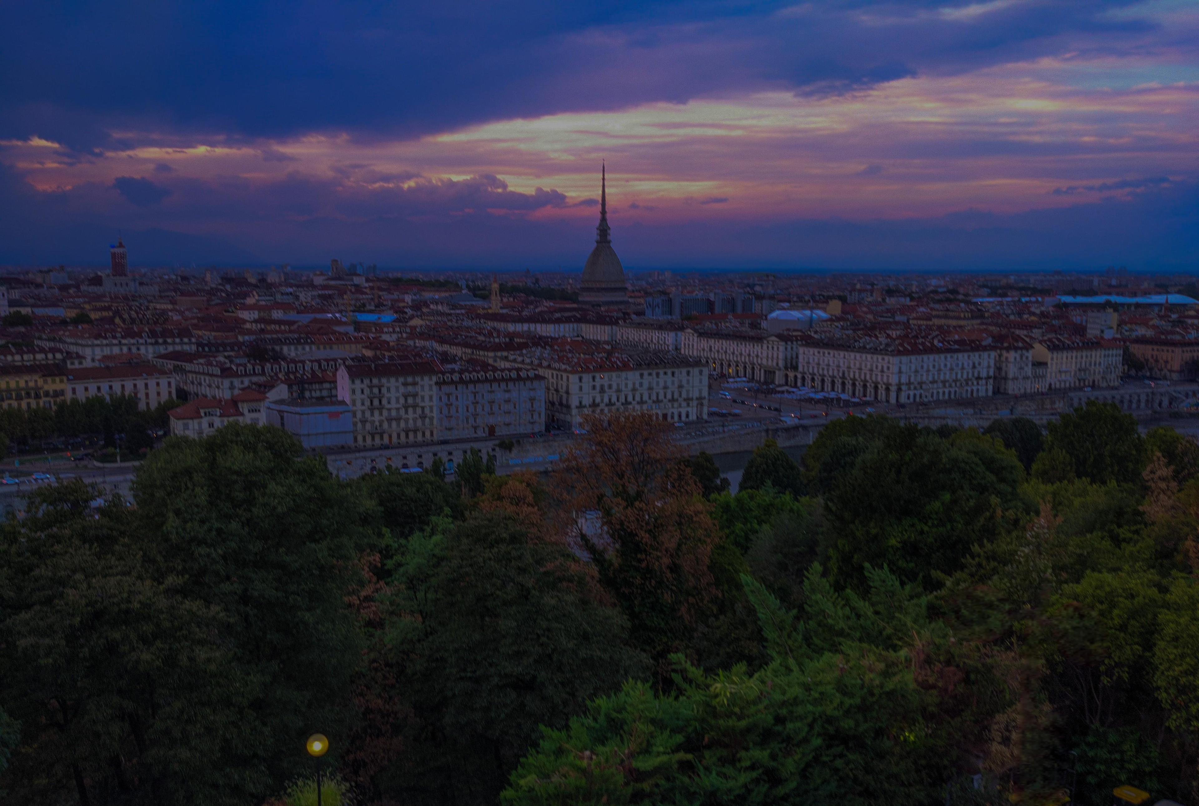 인공 호수 주변