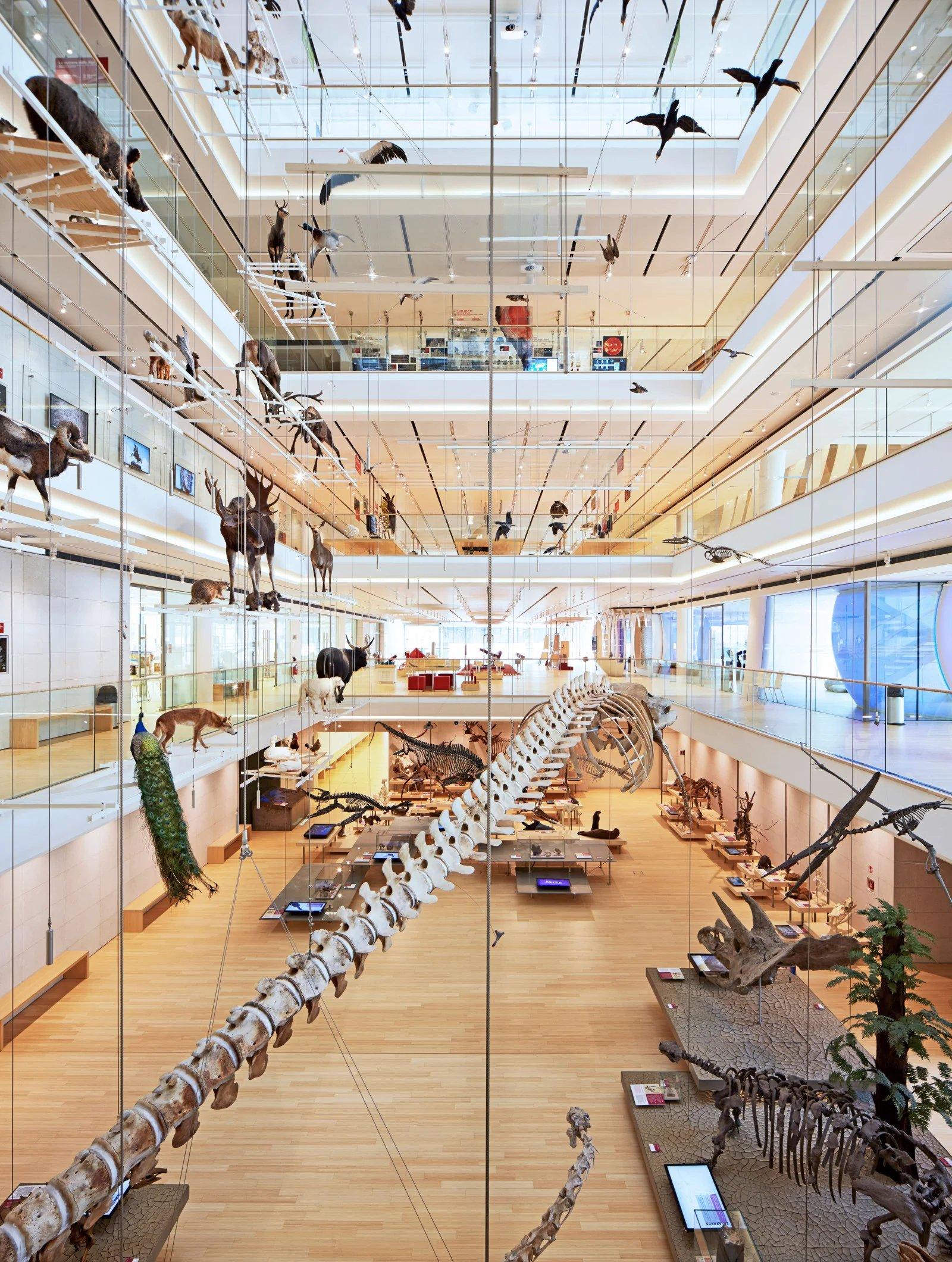 🏛️ 무세 - 과학 박물관 (무세오 델레 시엔체)