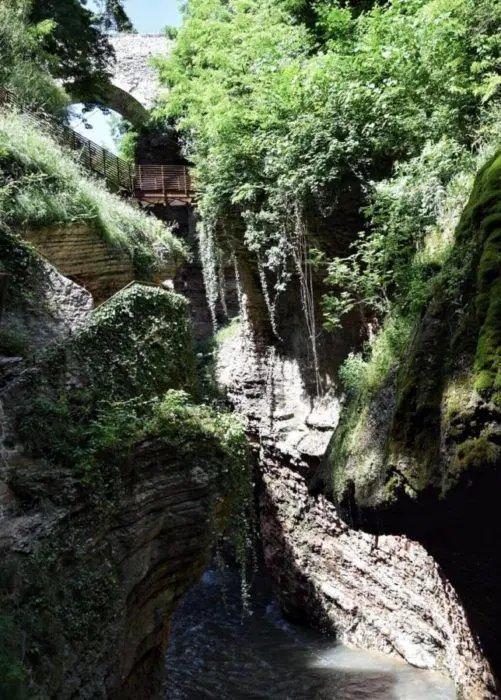 협곡 전망 플랫폼