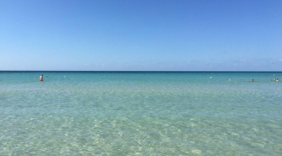 🏖️ 레 칸네 해변(리도 레 칸네)