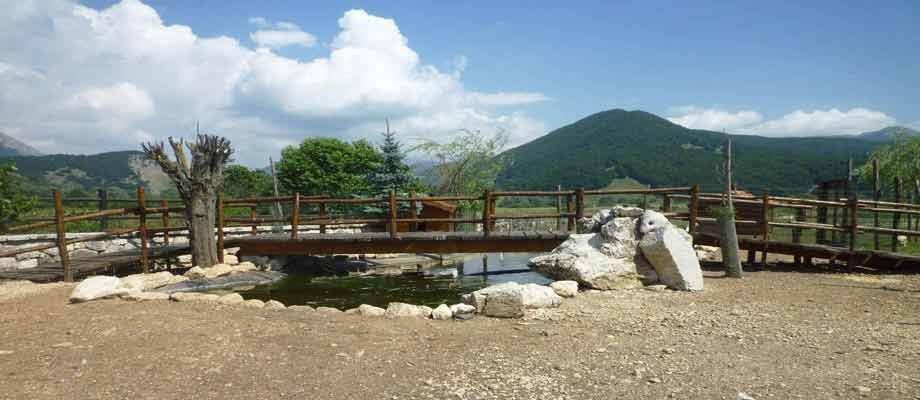 🏞️ 동물 농장 (라 파토리아 델리 아니말리)