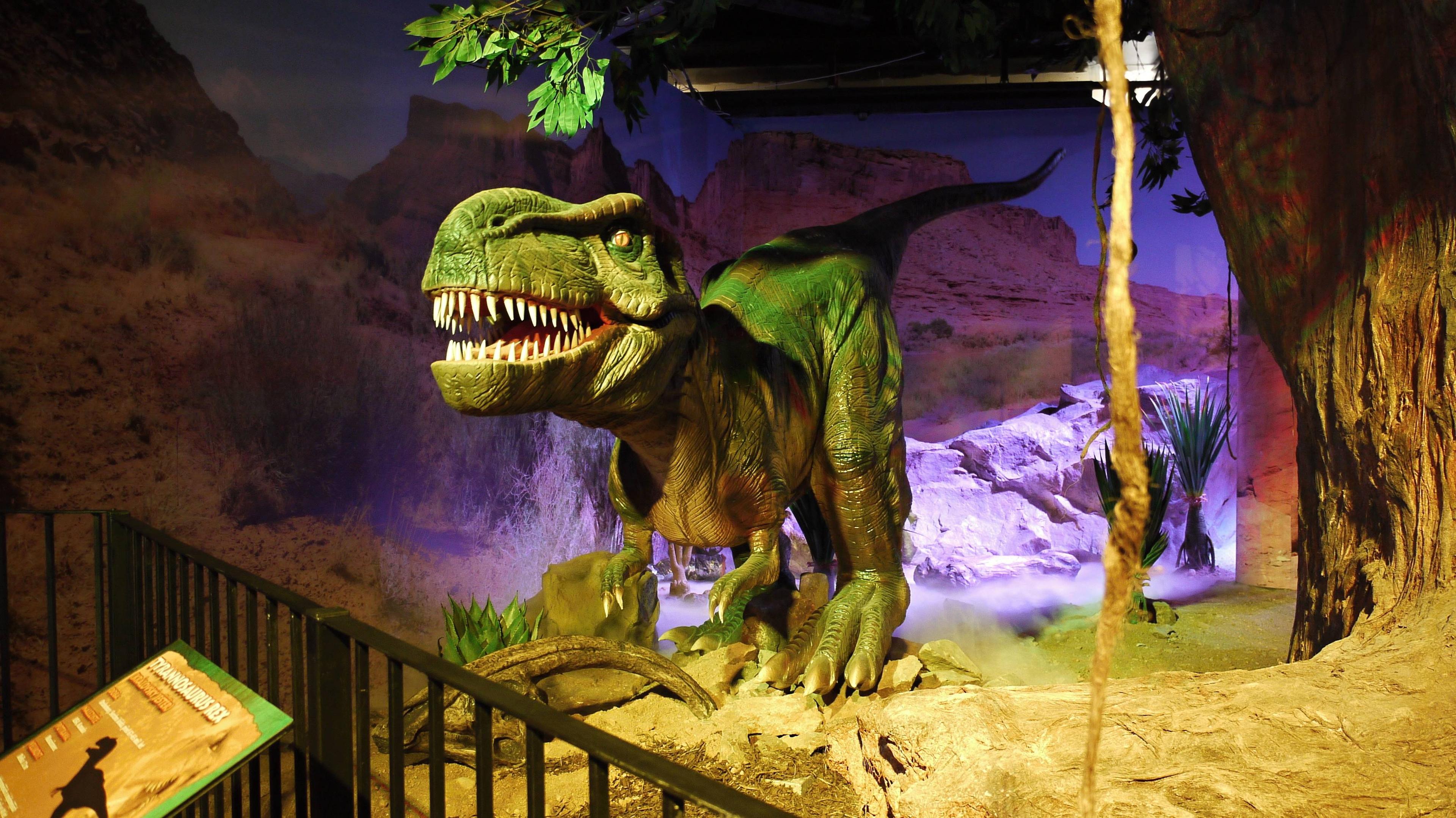 티라노사우루스 렉스 모델 앞