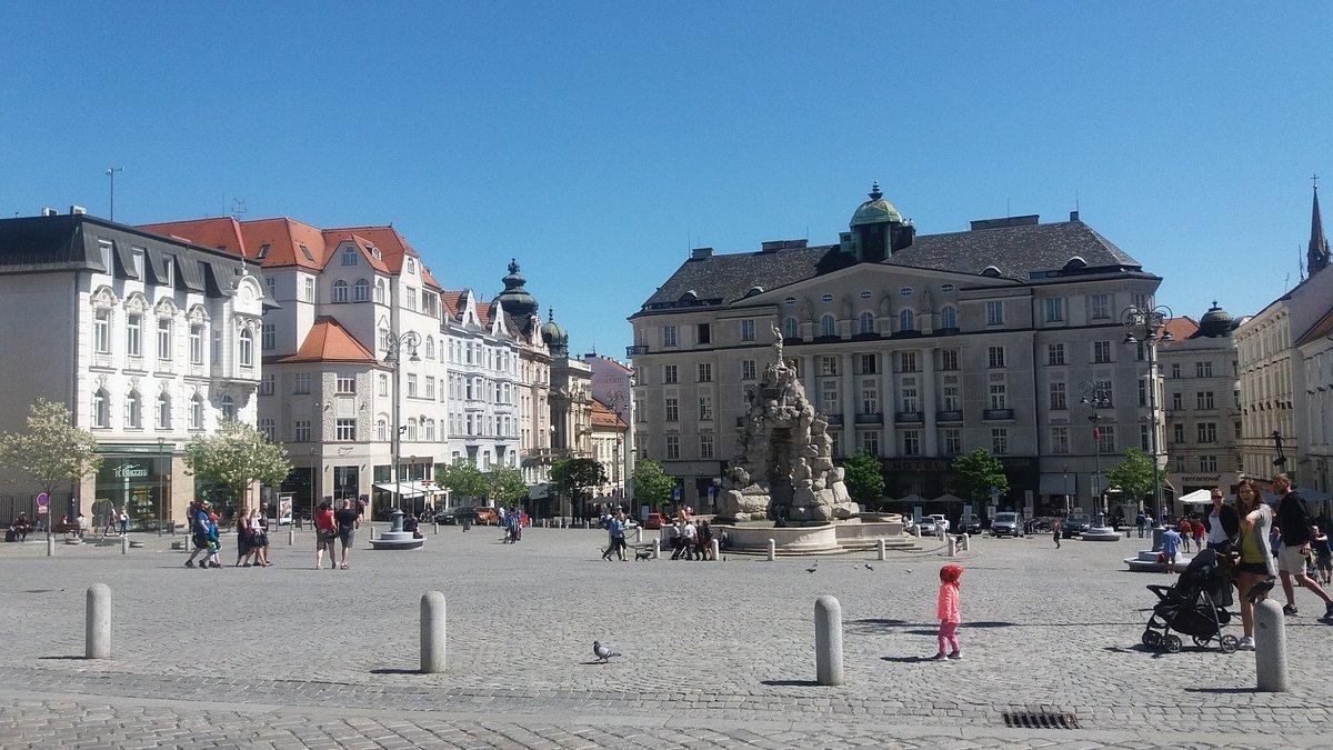 🏛️ 구 시청사 (스타라 라드니체)