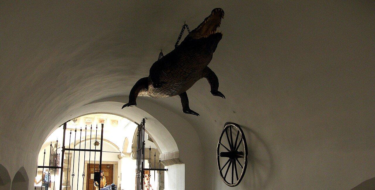 브르노 드래곤과 바퀴 앞