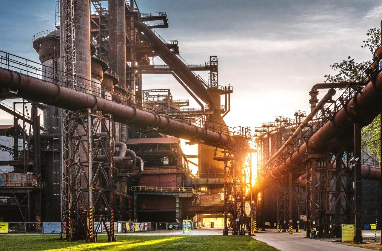 🔩 돌니 비트코비체 (돌니 비트코비체)