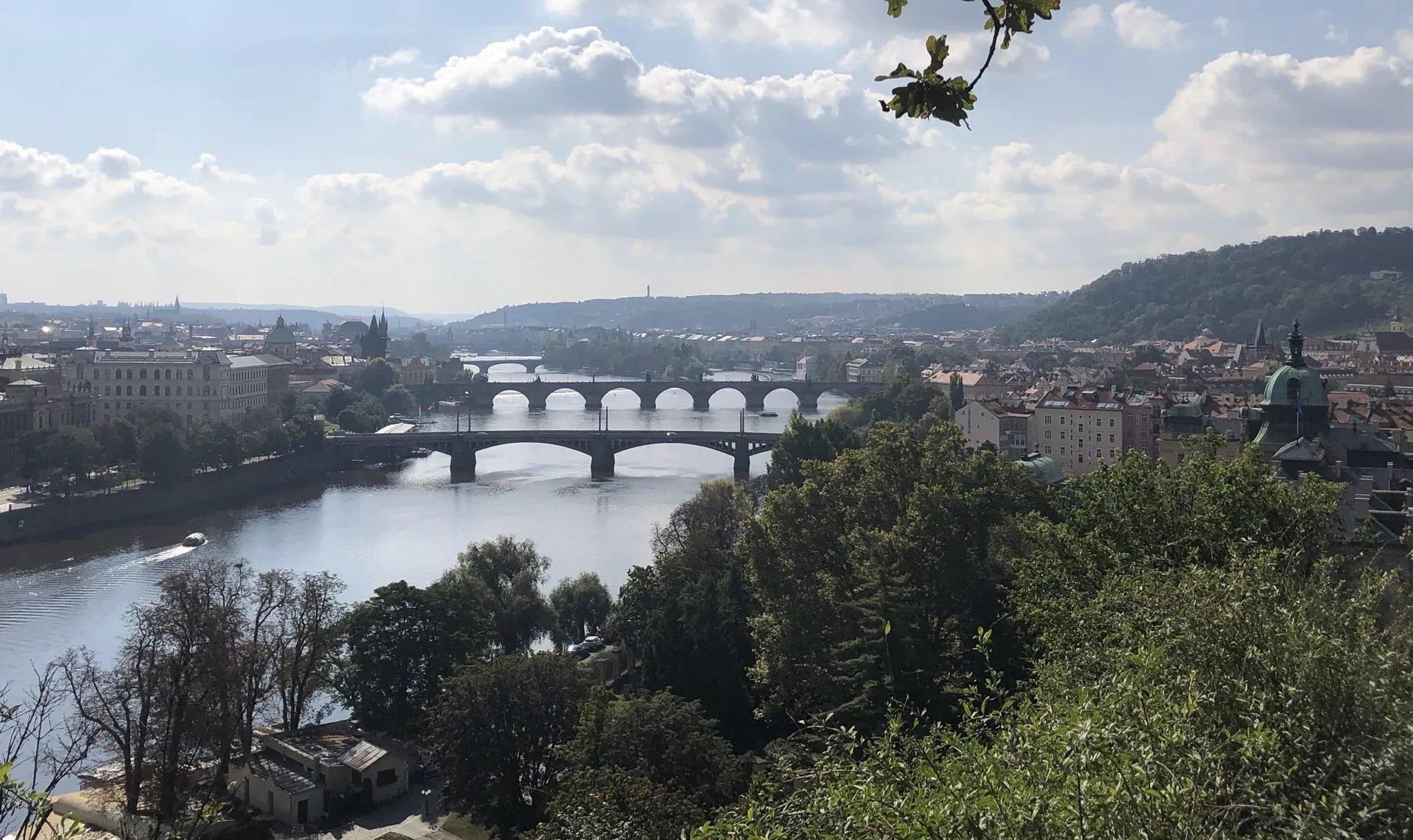 공원 산책로 변 뷰포인트