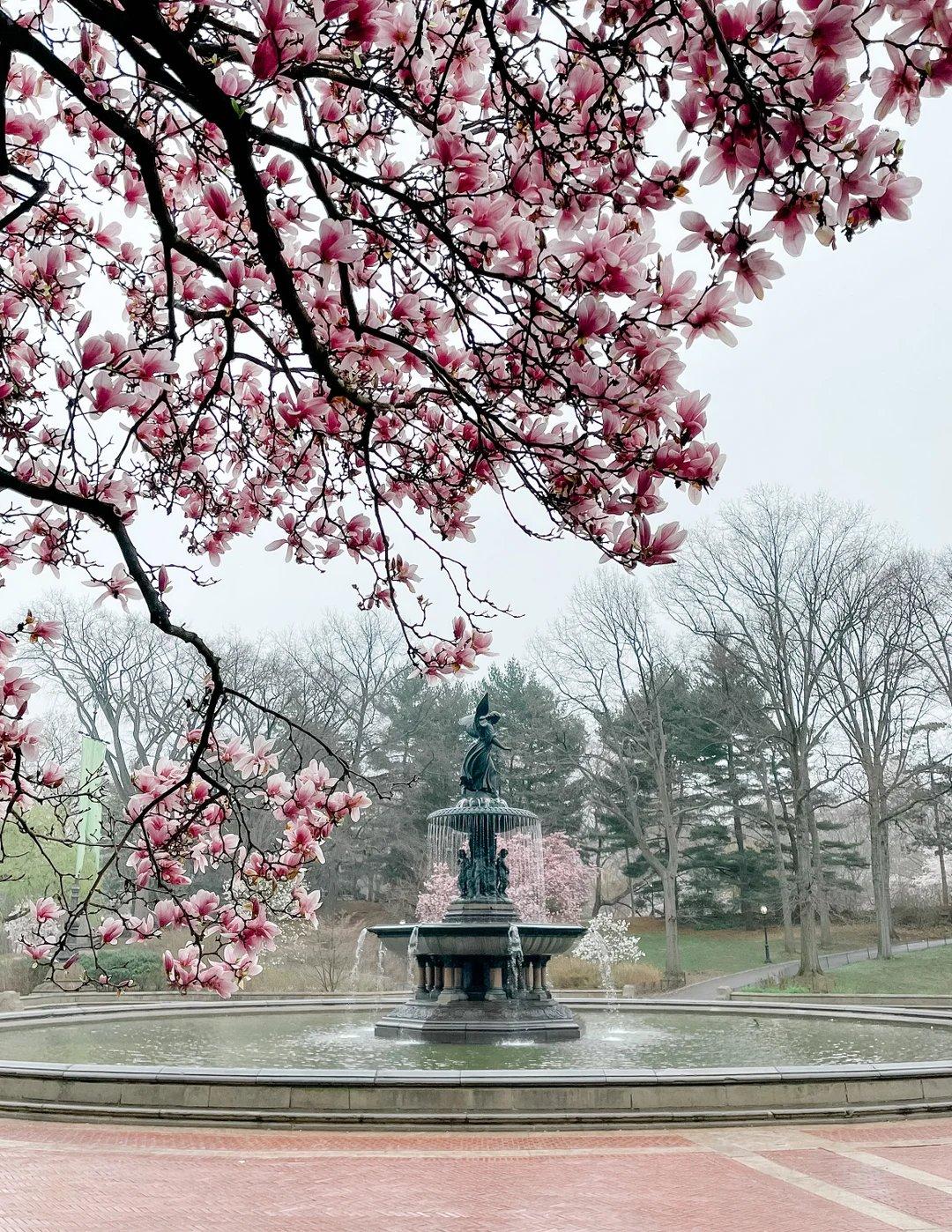 공원 내 분수와 계절 꽃밭