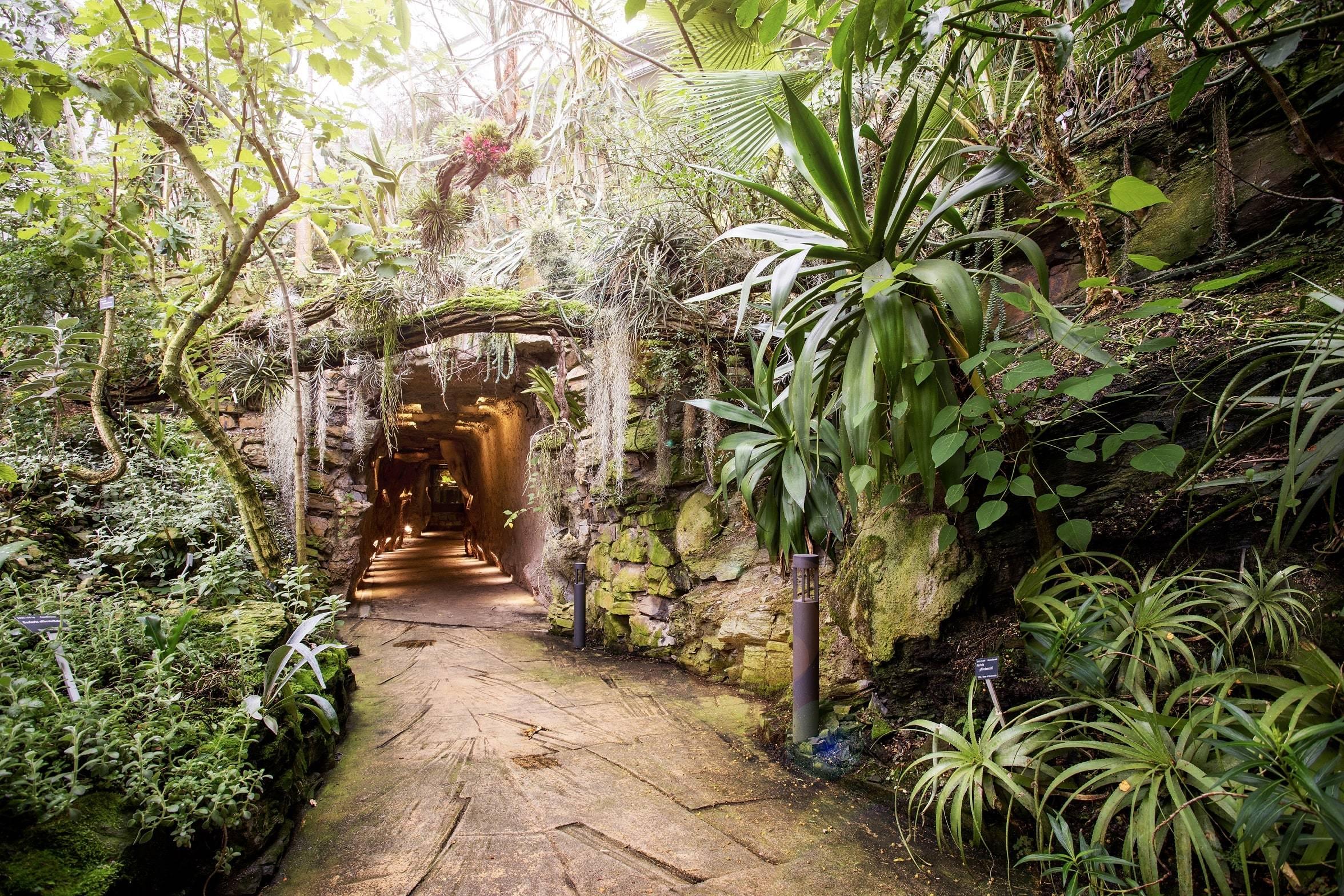 🌿 프라하 식물원(보타니츠카 자흐라다 프라하)