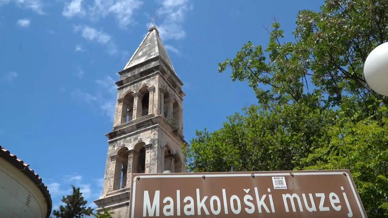 🐚 연체동물 박물관(말라콜로슈키 무제이)