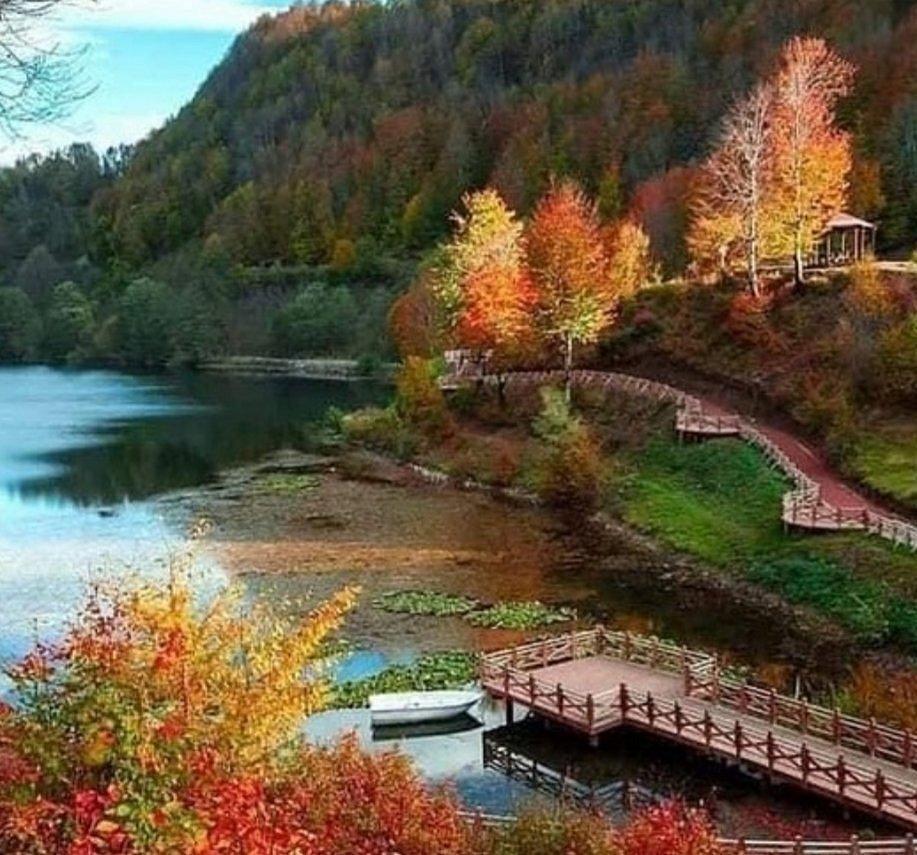 방갈로 및 캠핑 구역 주변 숲길