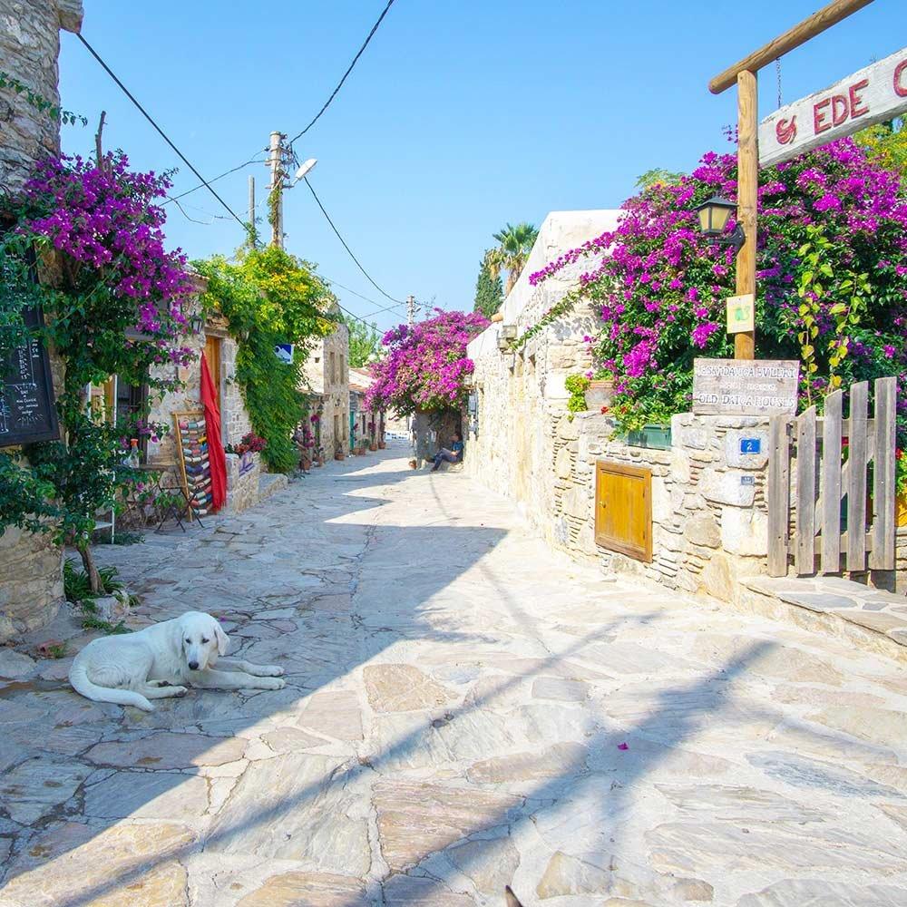 해변으로 이어지는 길 (일명 'Denize Çıkan Yol')