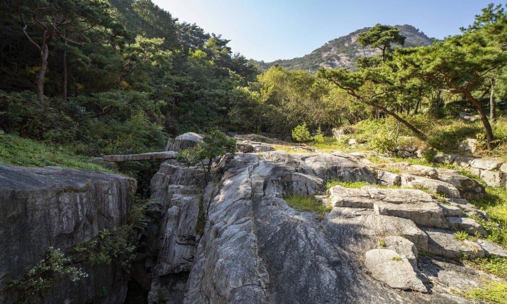 🏞️ 슈굴 협곡/계곡(슈울 칸요누/바디시)