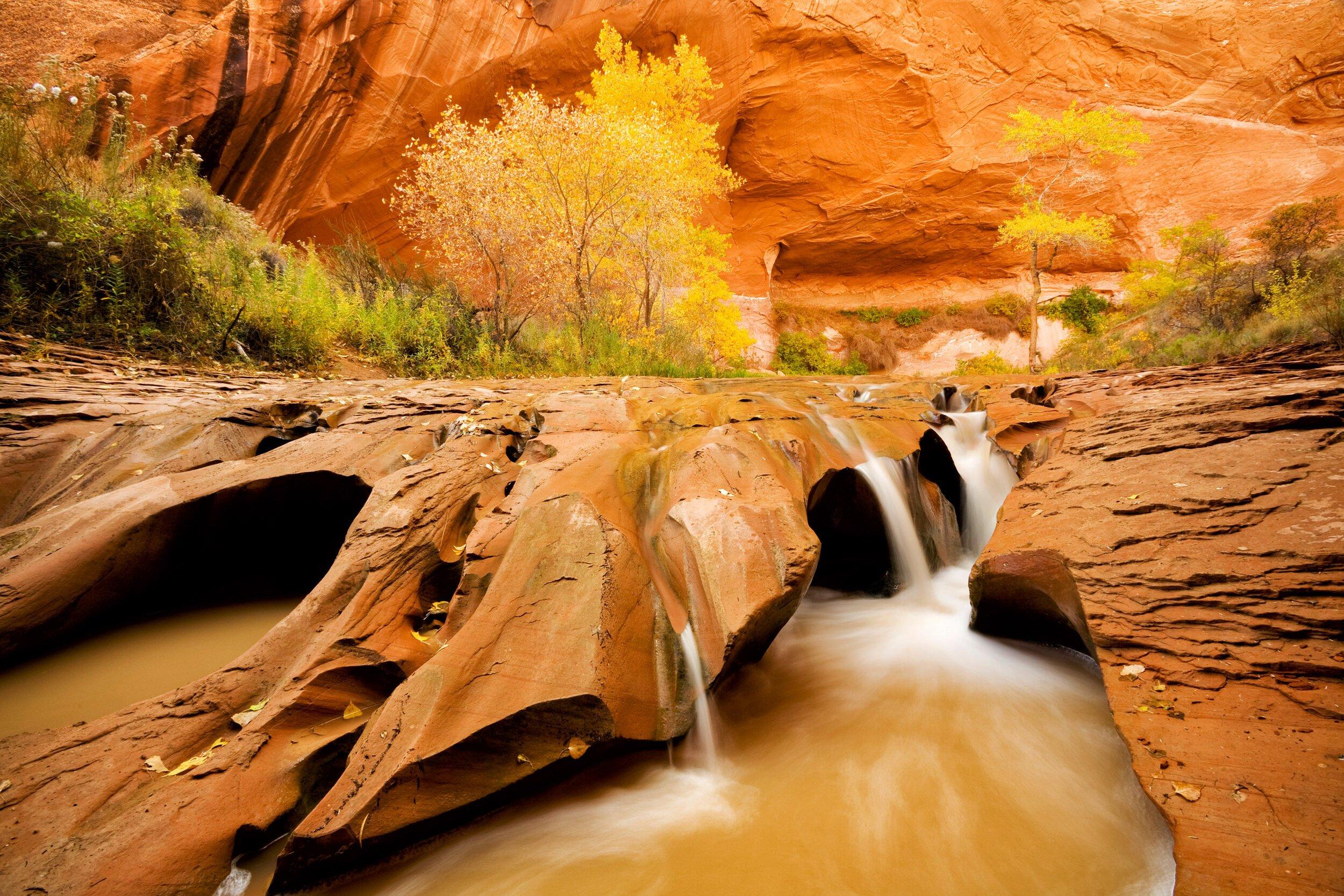 계곡 내 작은 폭포 주변