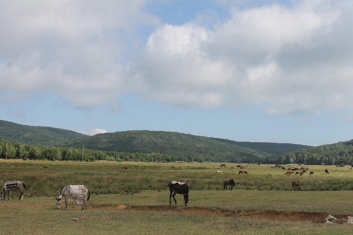 🏞️ 델레메제 고원(델레메제 야일라스)