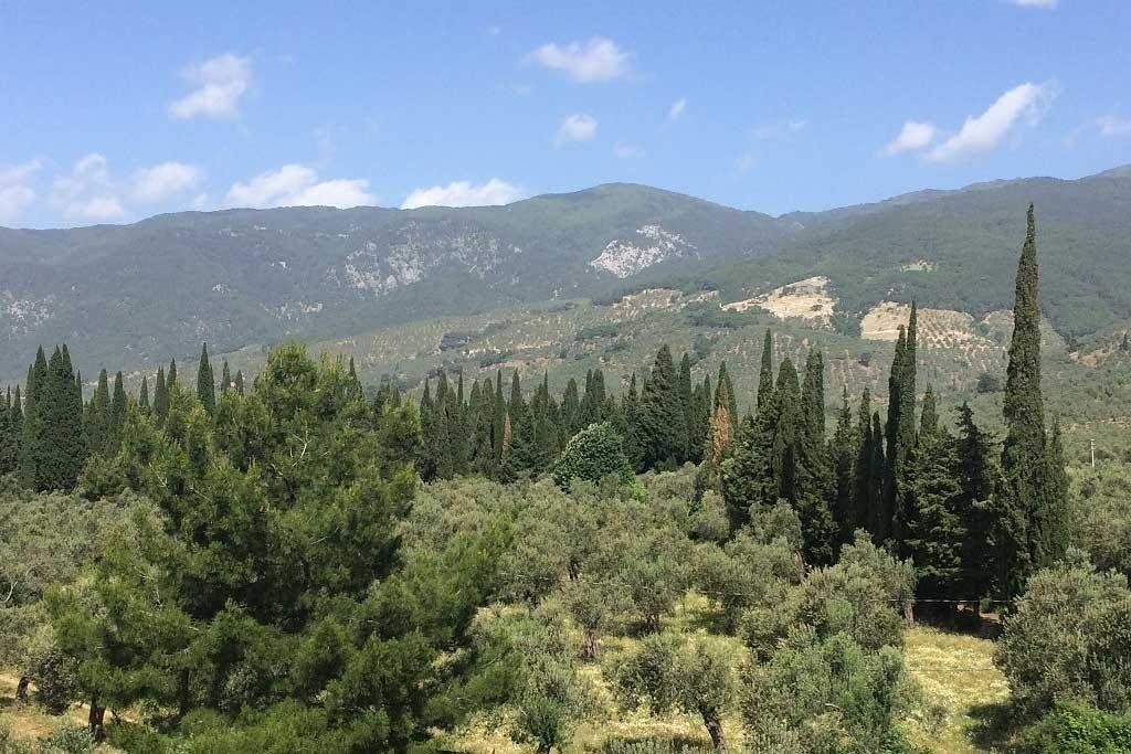 🏔️ 카즈산 (카즈다으)