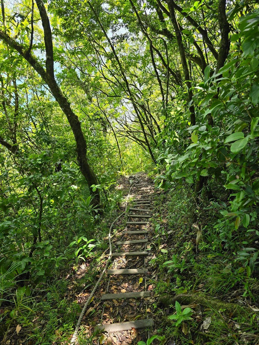 🏞️ 요로즈 도시숲 (요로즈 켄트 오르마니) 이미지 5