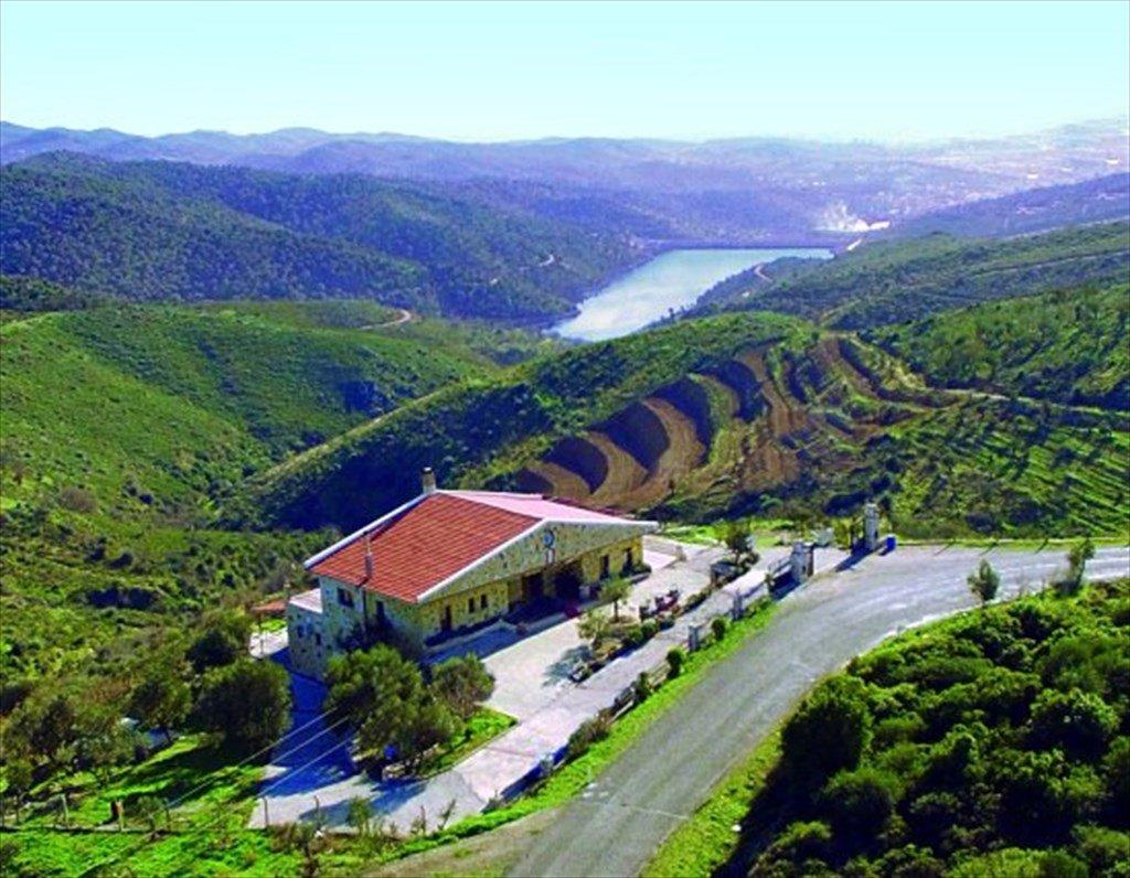 🍇 MMG 와이너리(MMG 샤라프츨륵)