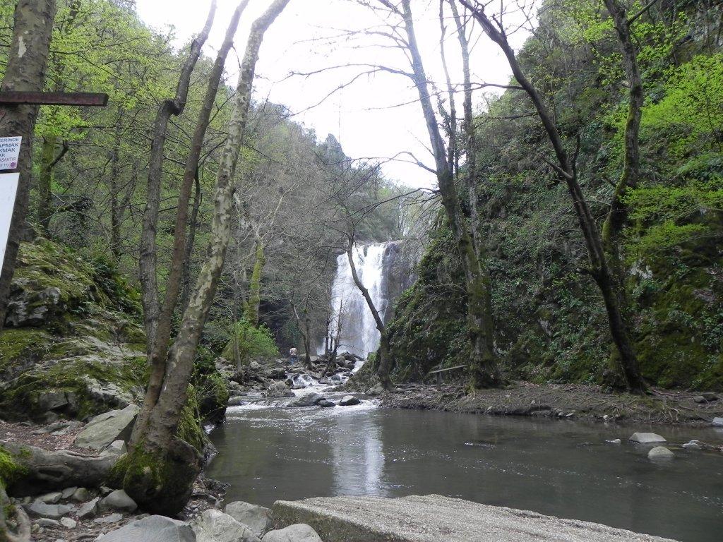 폭포 주변 숲길 및 다리