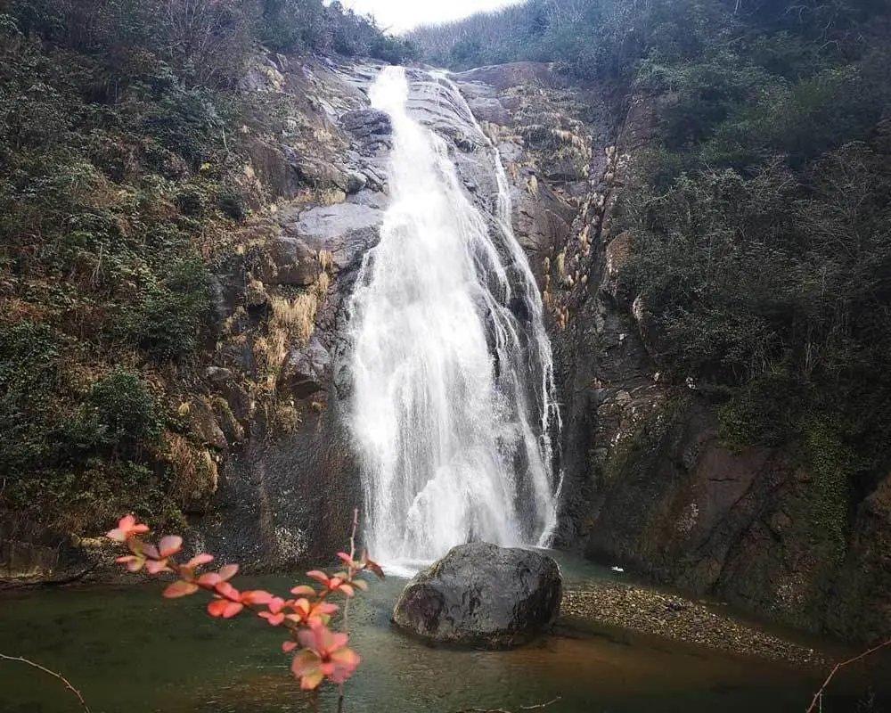 차밭과 함께 담는 폭포 전경