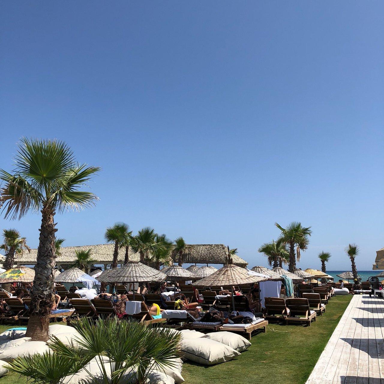 세련된 비치 클럽 시설 배경