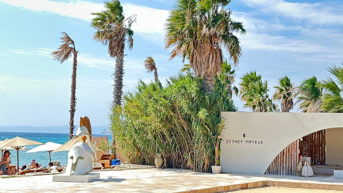 🏖️ 해 질 녘 전 해변 (비포 선셋 비치)