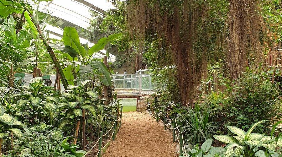 🦁 이즈미르 야생 공원(이즈미르 도알 야샴 파르크)