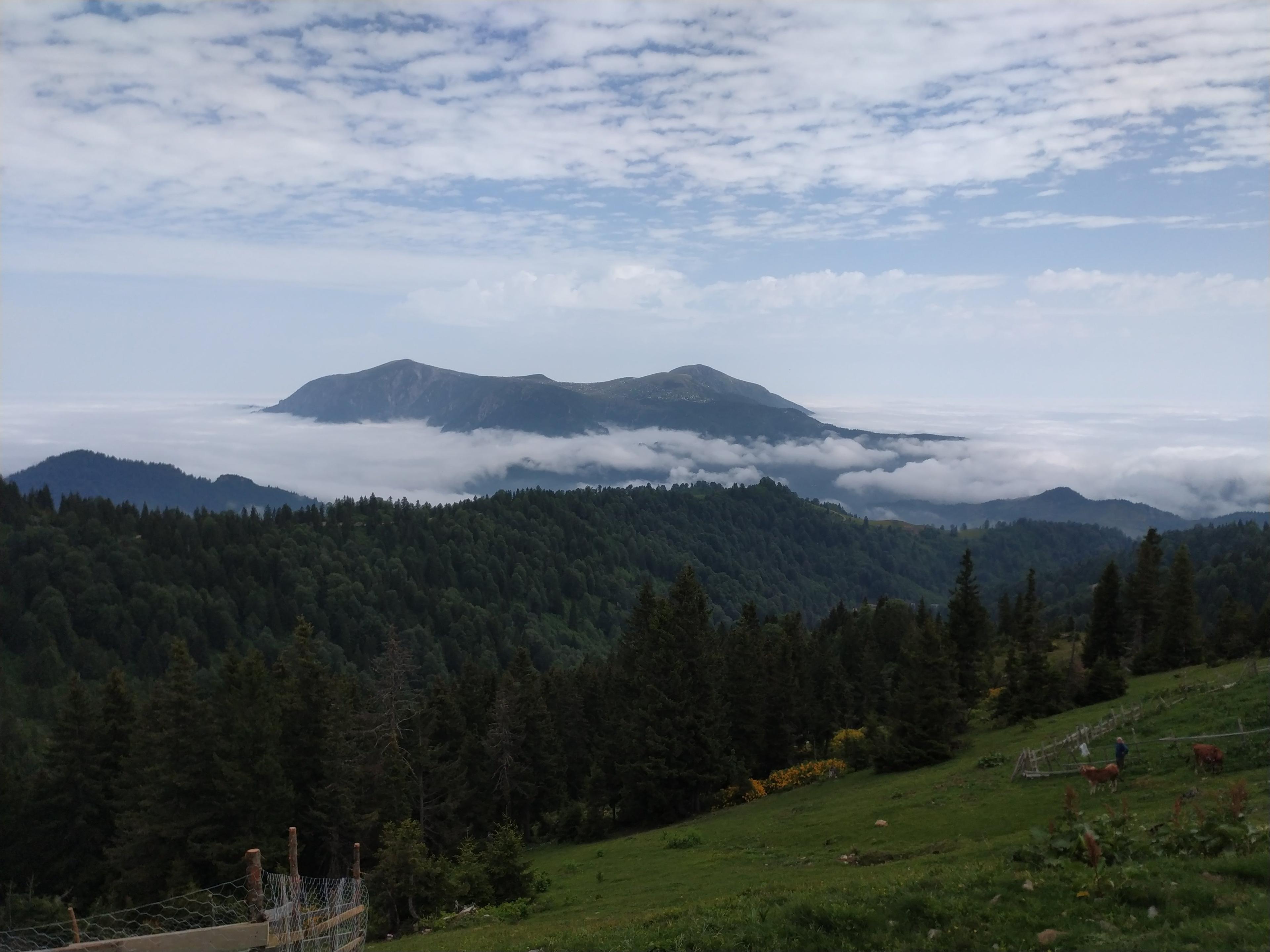 ⛰️ 안개 산(시스 다으)