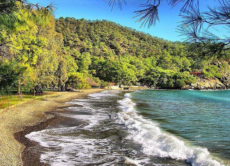 🌲 카트란즈 만 자연공원(카트란즈 코유 타비아트 파르크)