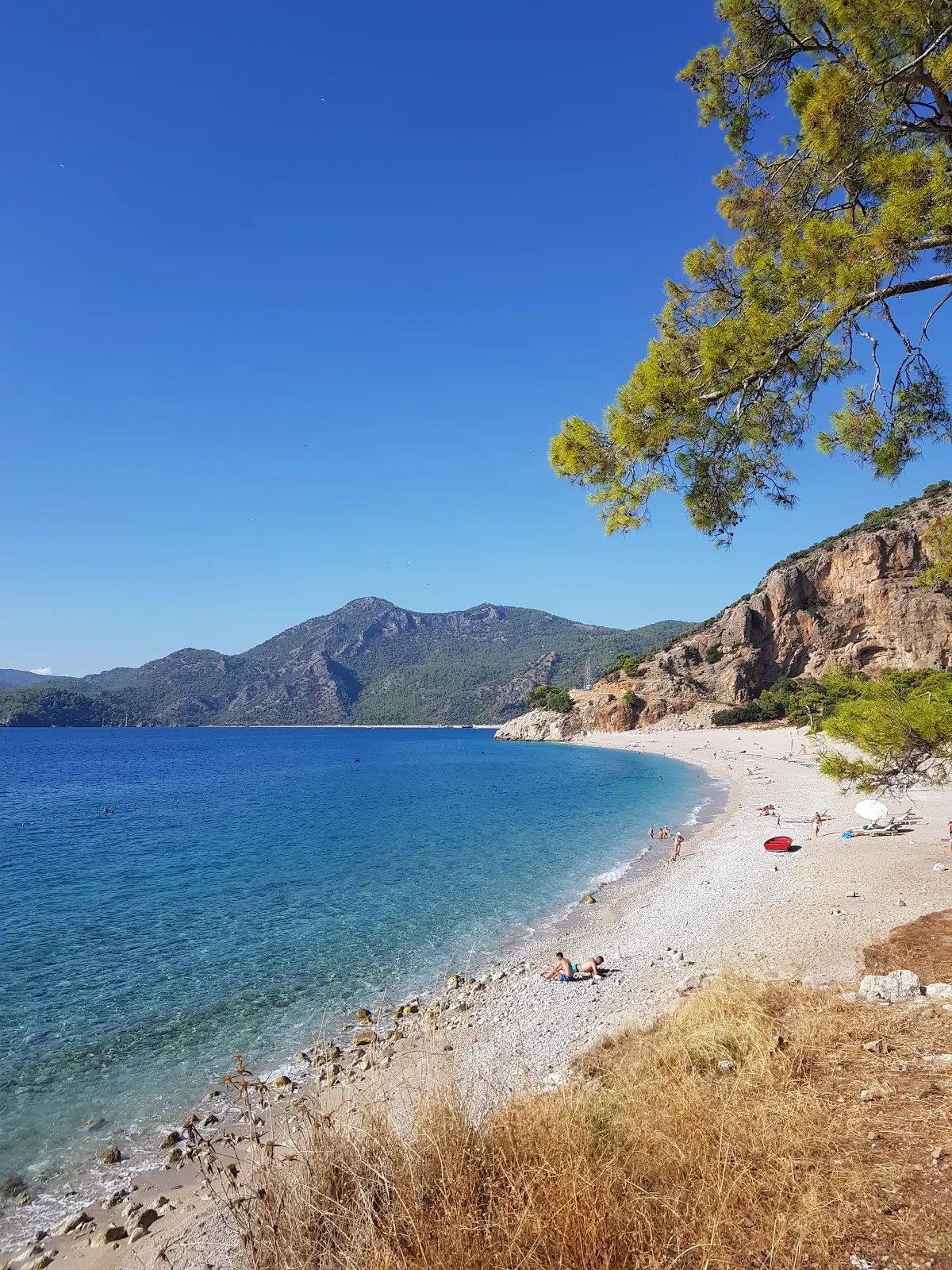 해변 중앙 터키석 빛 바다 배경