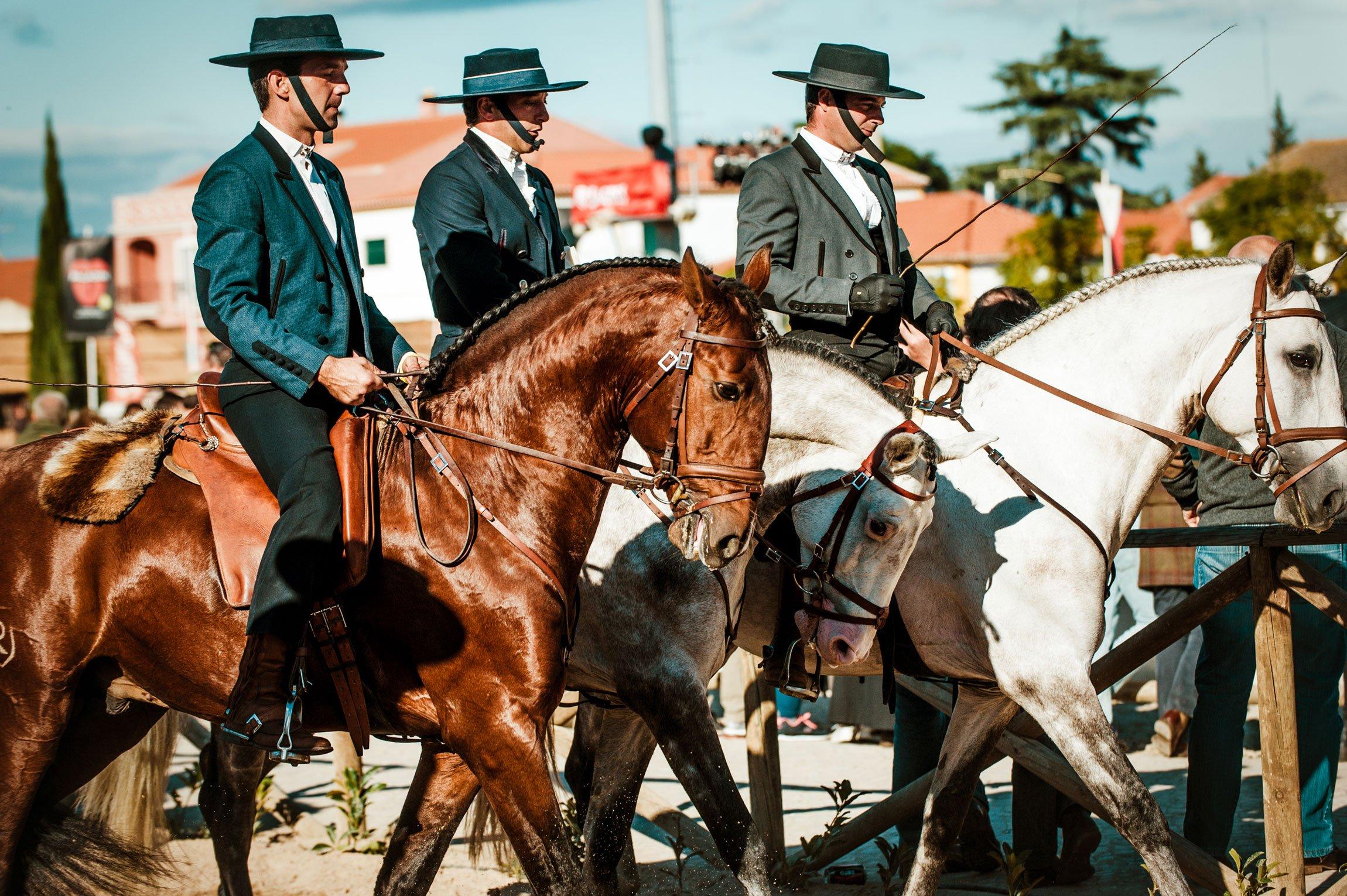 🐎 골레강 말 축제(페이라 다 골레강)