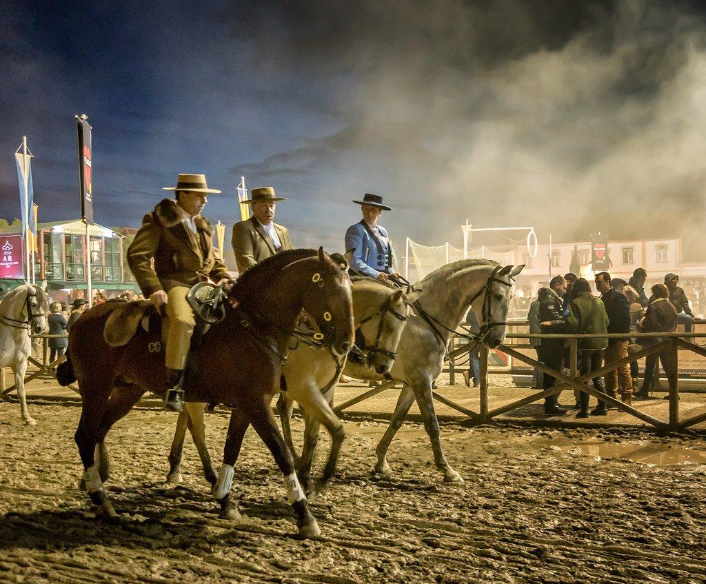 중앙 경기장(Manga)의 말 쇼