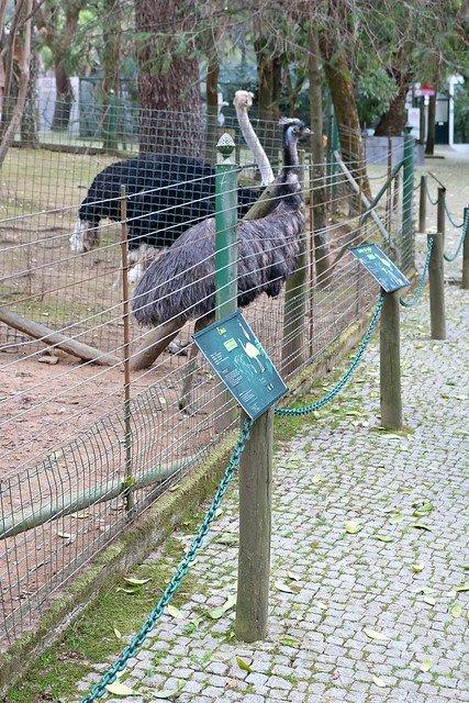 다양한 조류 서식지 앞