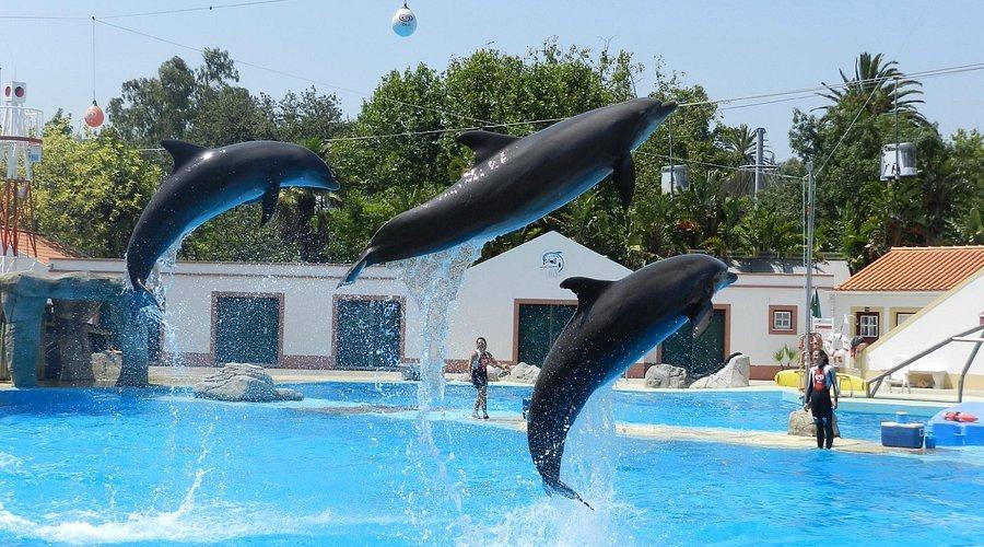 🏞️ 리스본 동물원 (자르딩 주올로지쿠 드 리스보아)