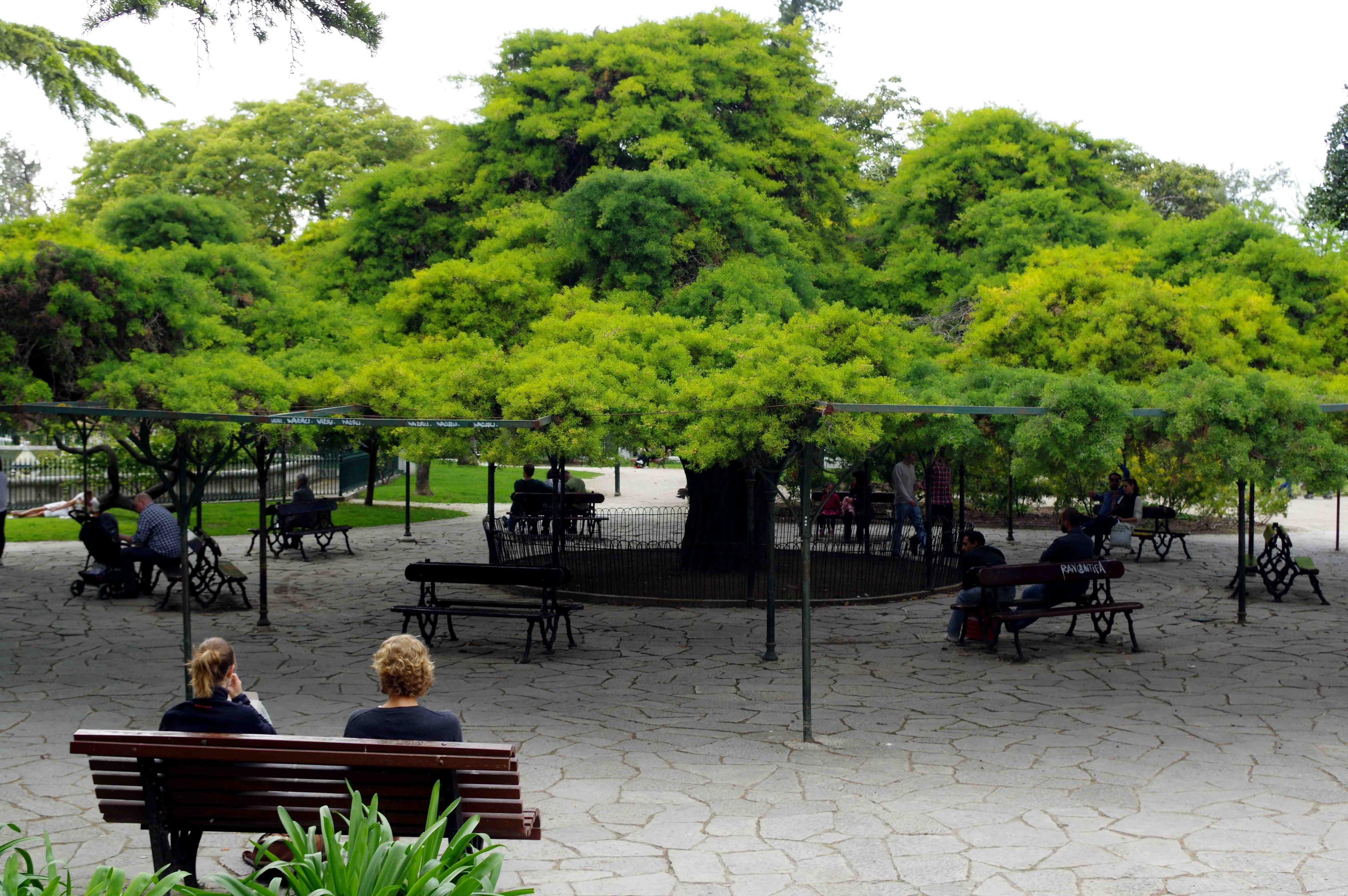 리스본, 포르투갈