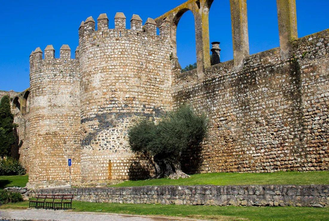 고고학 박물관 내부 또는 외부