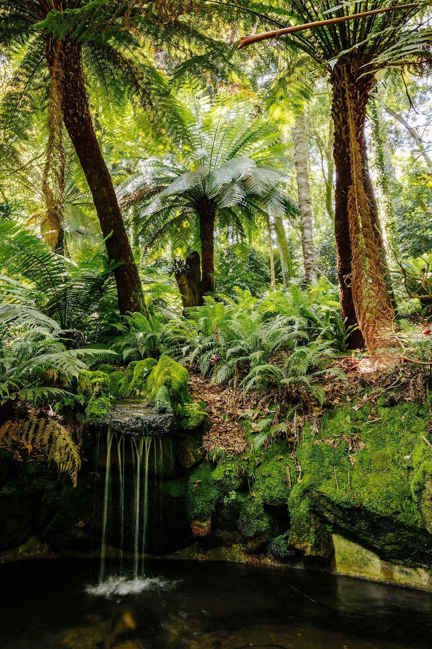 🏞️ 페나 공원(Parque da Pena)