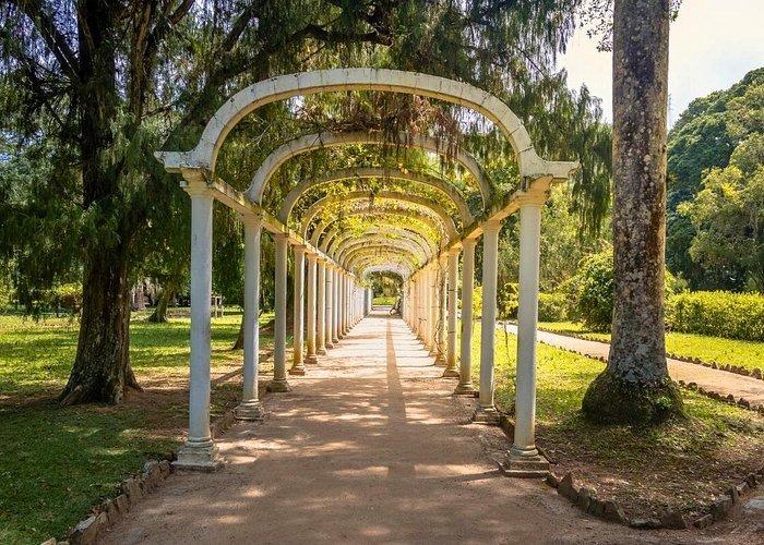 🌿 파이알 식물원(자르징 보타니쿠 두 파이알)