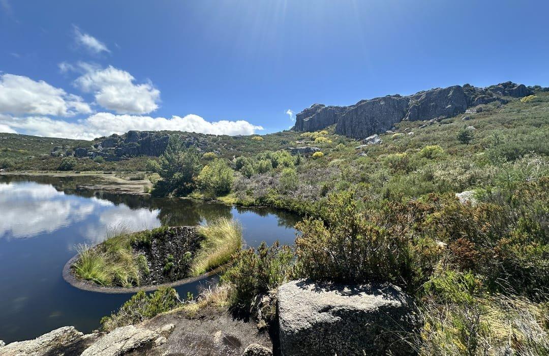 🌲 쇼팔 국유림 (마타 나시오날 두 쇼팔)