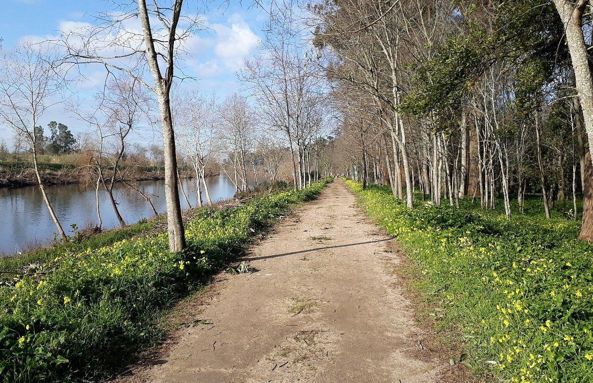 몬데고 강변 산책로