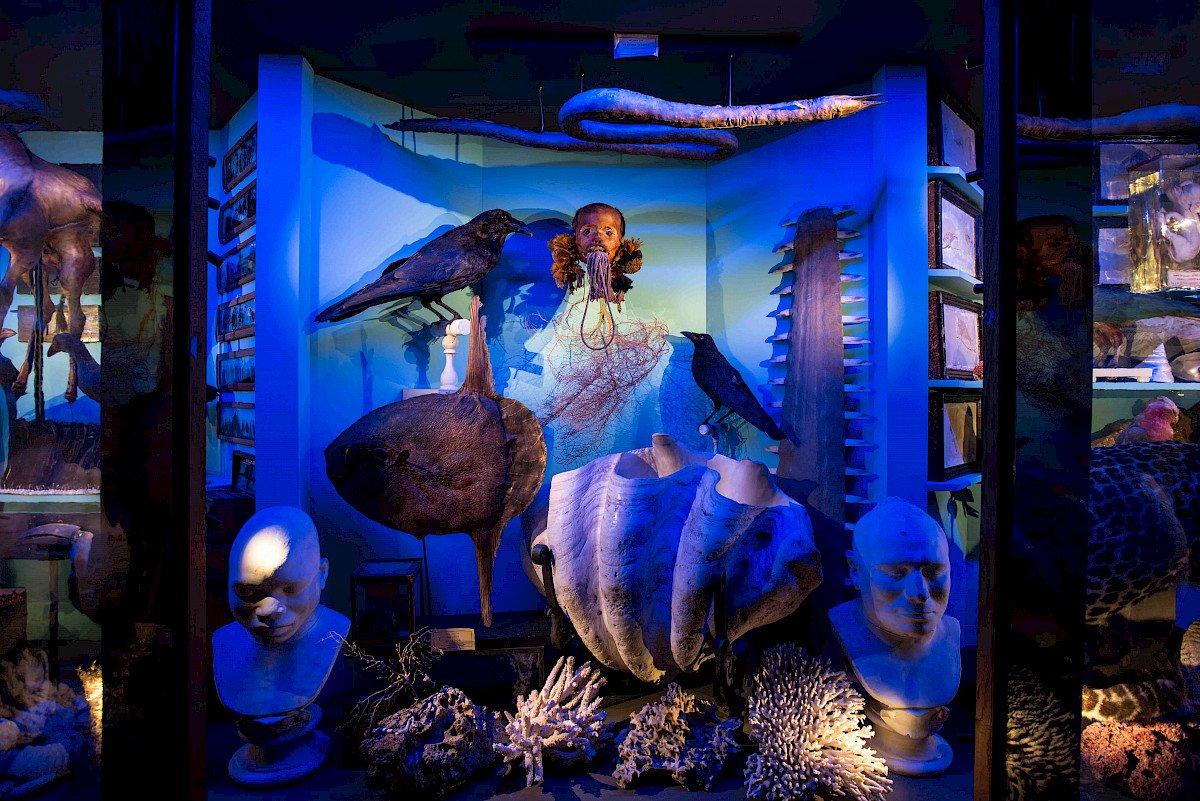 호기심의 방 (Gabinete de Curiosidades)