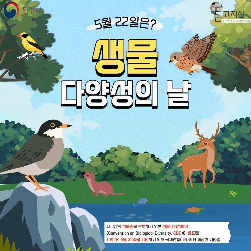 포르투, 포르투갈