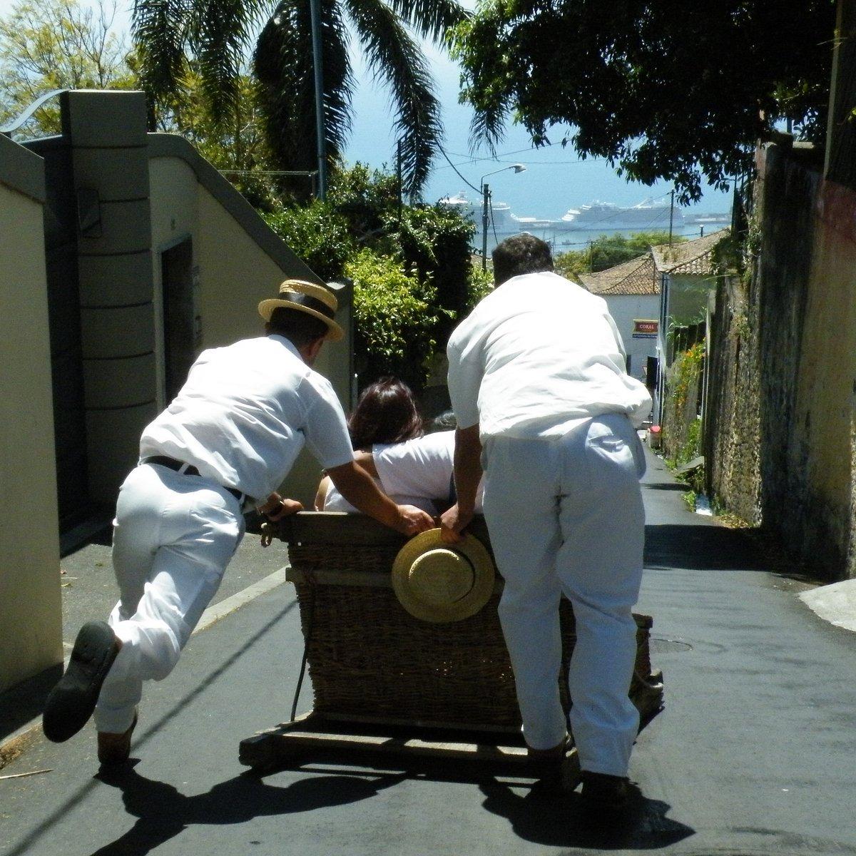 썰매 주행 중 (전문가 촬영 구간)