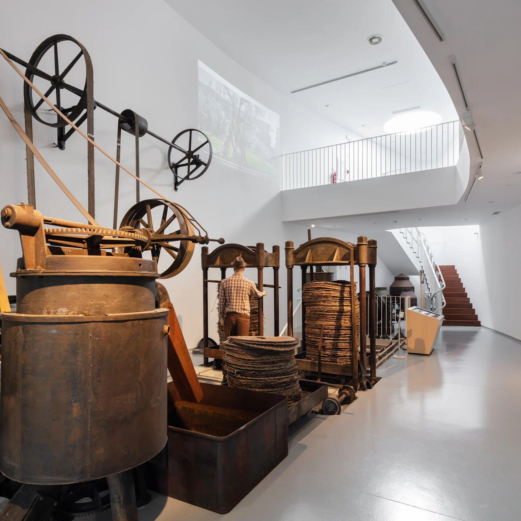 🏛️ 올리브 오일 박물관(무제우 두 아제이트)