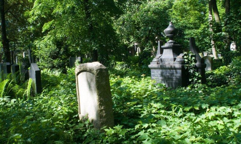 🏛️ 옛 유대인 묘지 (스타리 츠멘타시 지도프스키)